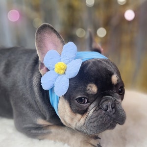 Headband  for dog or cat /headband for dogs/Pet gift/