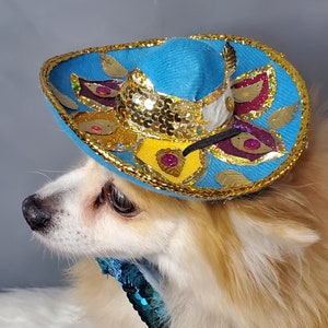 Set  hat and bow tie  Cute sombrero hat   for dog or cat /Halloween dog costume/Dog Sombrero/Cat Sombrero/