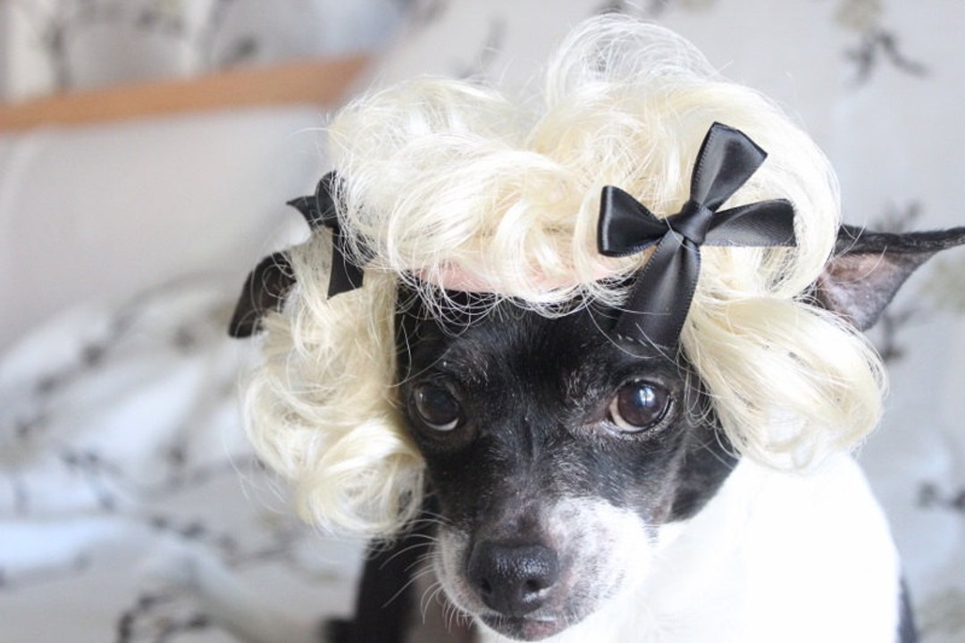 Hair Marilyn Monroe Costume For Dogs Pet Wig For Dog Or Cat Blond