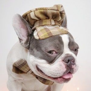 Dog Cap and Bow Tie Set, Pet Outfit image 7