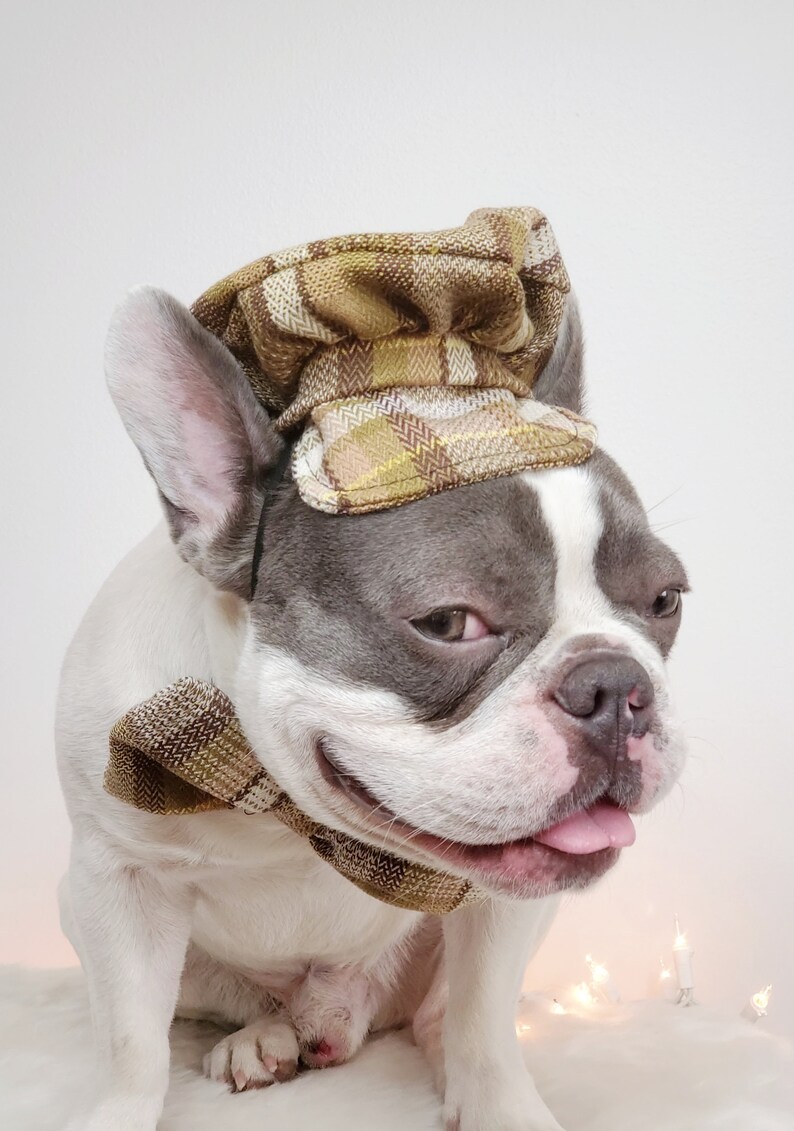 Dog Cap and Bow Tie Set, Pet Outfit image 7
