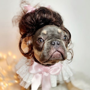 Wig for dog /Pet  Marie Antoinette   wig brown   color  for dog or cat / Halloween dog wig  / Costume dog wig /