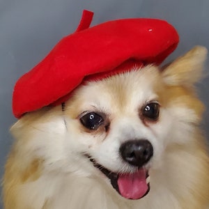 Beret  hat red color  for dog or cat  /Small animal  beret /Dog beret /Beret for  pets