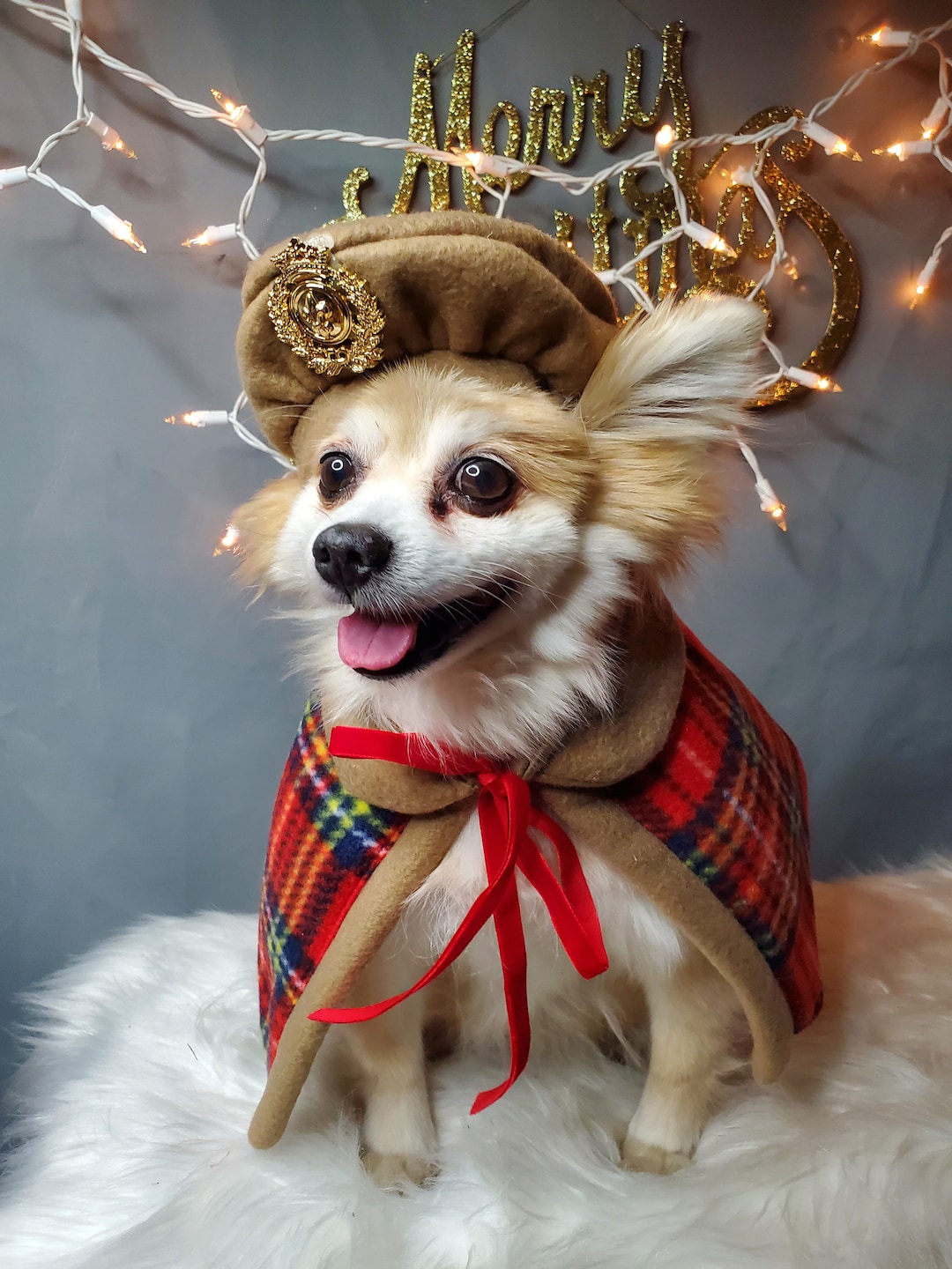 Set 2 Piece Beret and Cape Cover for Dog Cat or Small Animal / Costume ...