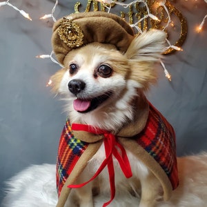 Ensemble 2 pièces Béret et Cape pour chien chat ou petit animal / Costume/