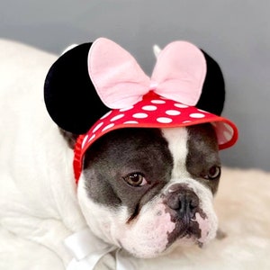 Mini mouse hat for dog /dog costume /Halloween dog costume/