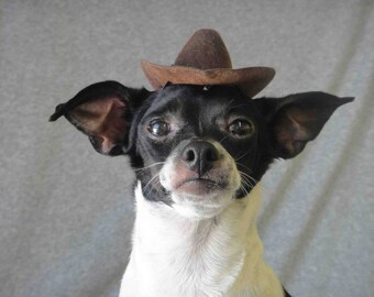 Indiana Jones Hat for Dog or Cat Brown 