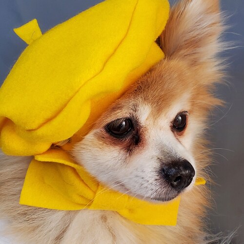 Beret Hat Red Color for Dog or Cat /small Animal Beret /dog Etsy
