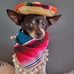 Set sombrero hat and bandanna scarf for dog or cat/ Halloween pet costume/ image 10