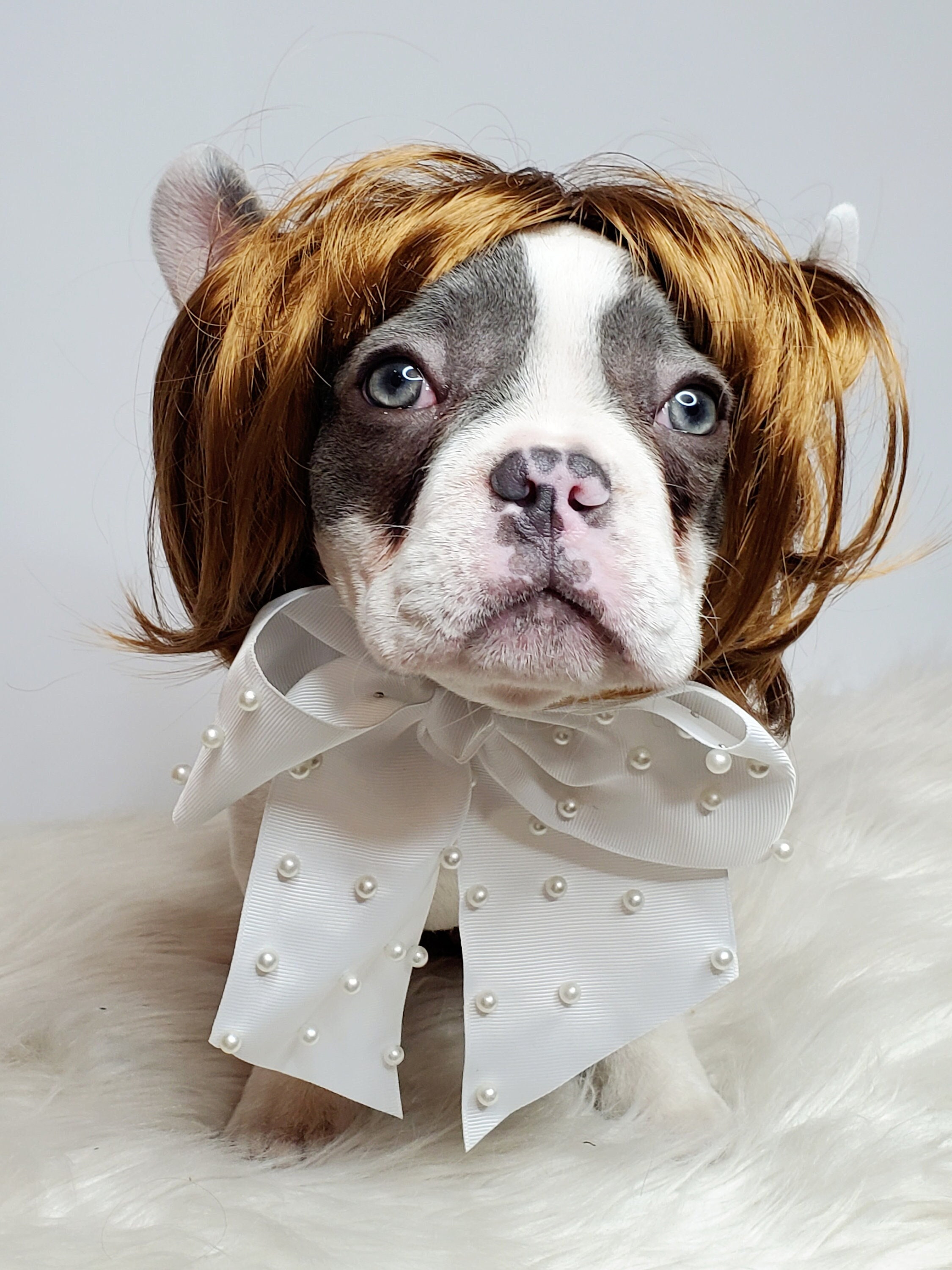 Jupsk Essential Costume De Noël Pour Chien Et Chat Avec écharpe Et Nœud