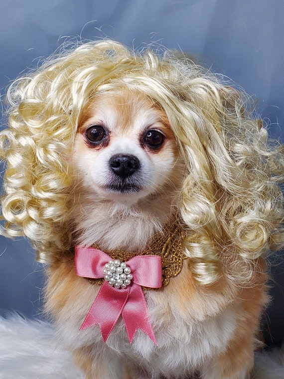 blonde wig dog