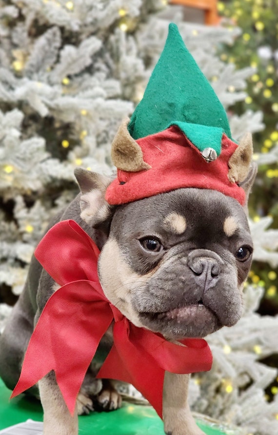 Dog Elf Hat Elf Hat Costume christmas Elf Outfit dogs and Cat Elf Costume Etsy UK