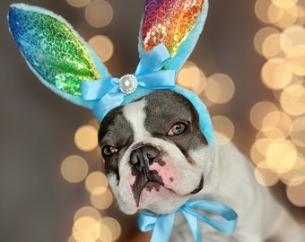 Easter Bunny headband    for dog  /Bunny dog hat / Bunny dogs costume/