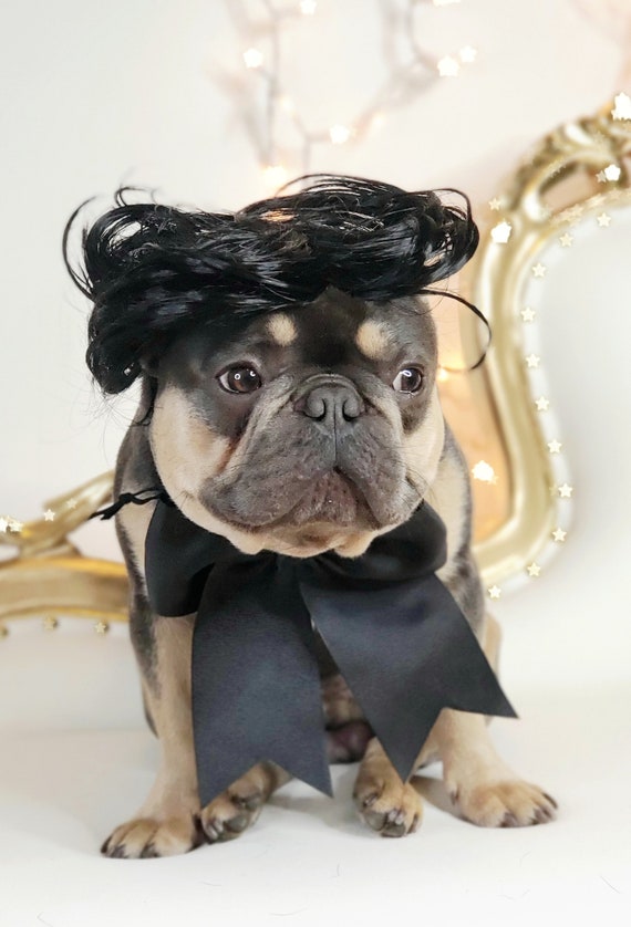 Gomez Addams Pet Wig, Adjustable Dog/cat Costume - Etsy