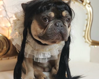 Wednesday Wig for Dog / Addams Family Cute Pet Braided Wig Black