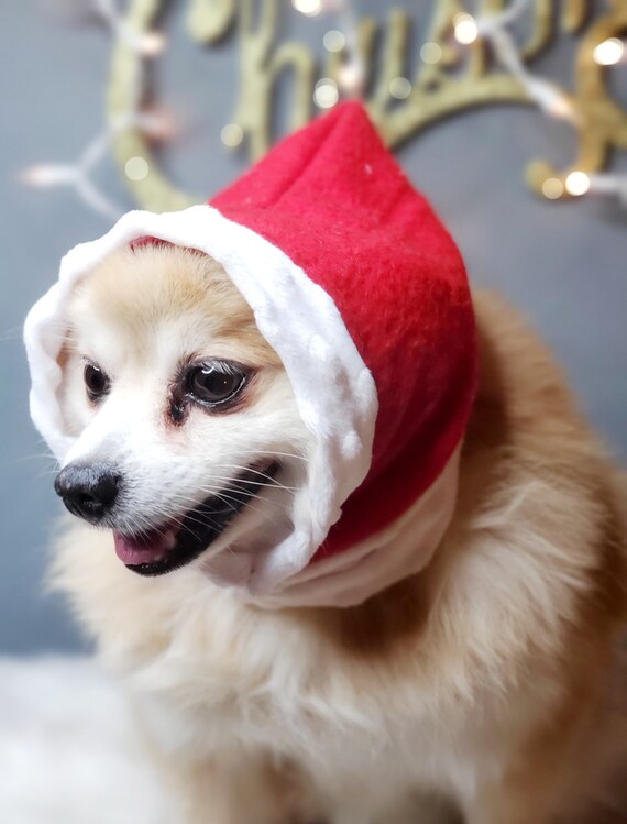 Cappello di Babbo Natale per cane o gatto | Etsy Italia