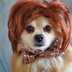 Cute pet wig for dog or cat /Halloween dog wig / Costume cat wig /Dog costume / Cat costume / image 3
