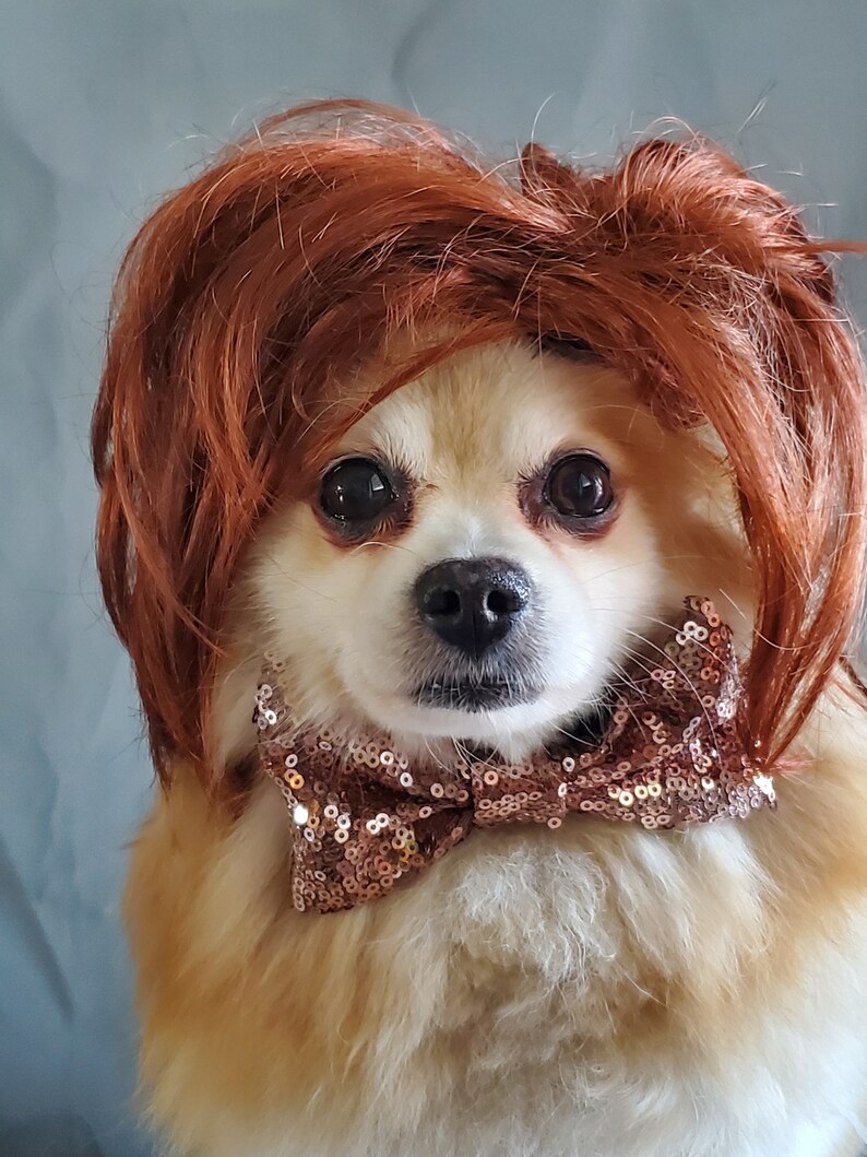 Cute pet wig for dog or cat /Halloween dog wig / Costume cat wig /Dog costume / Cat costume / image 3