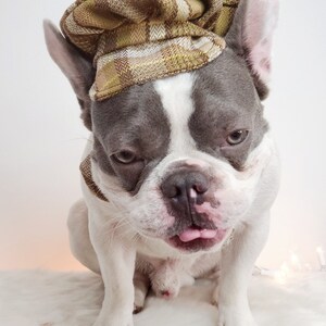 Dog Cap and Bow Tie Set, Pet Outfit image 4