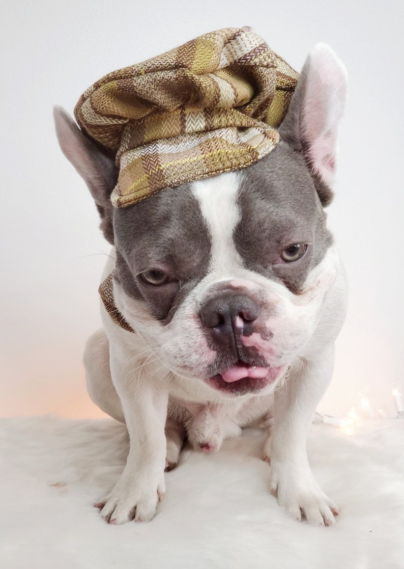 Dog Cap and Bow Tie Set, Pet Outfit image 4