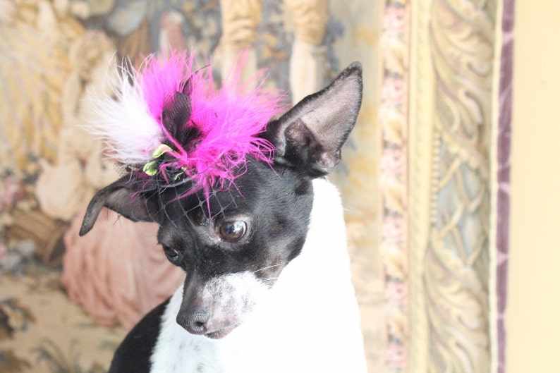 Cute black color mini hat with black pink and white color feather and flowers for dog or cat