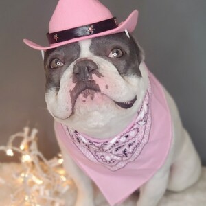 Cowboys hat for large dog /Dog costume /Frenchies cowboy hat / image 2