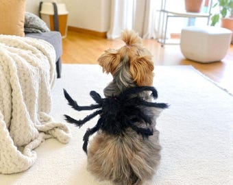 Verstelbaar spinhondkostuum: Halloween-huisdieroutfit
