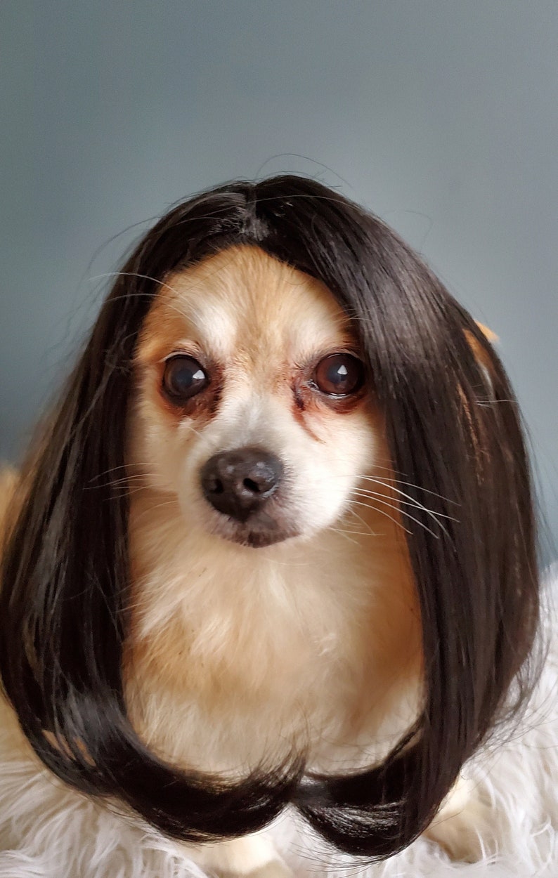 Cute pet wig black color dog or cat/Halloween dog wig/Costume dog wig /Dog costume / Cat costume / image 1