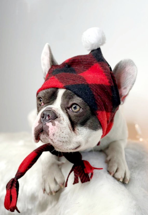 French bulldog winter hat hotsell