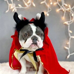 Teufel Hut für große Haustier Hut /Halloween-Kostüm/Hörner Hut/Hundekostüm/Haustier-Kostüm /Halloween-Hut/Hunde