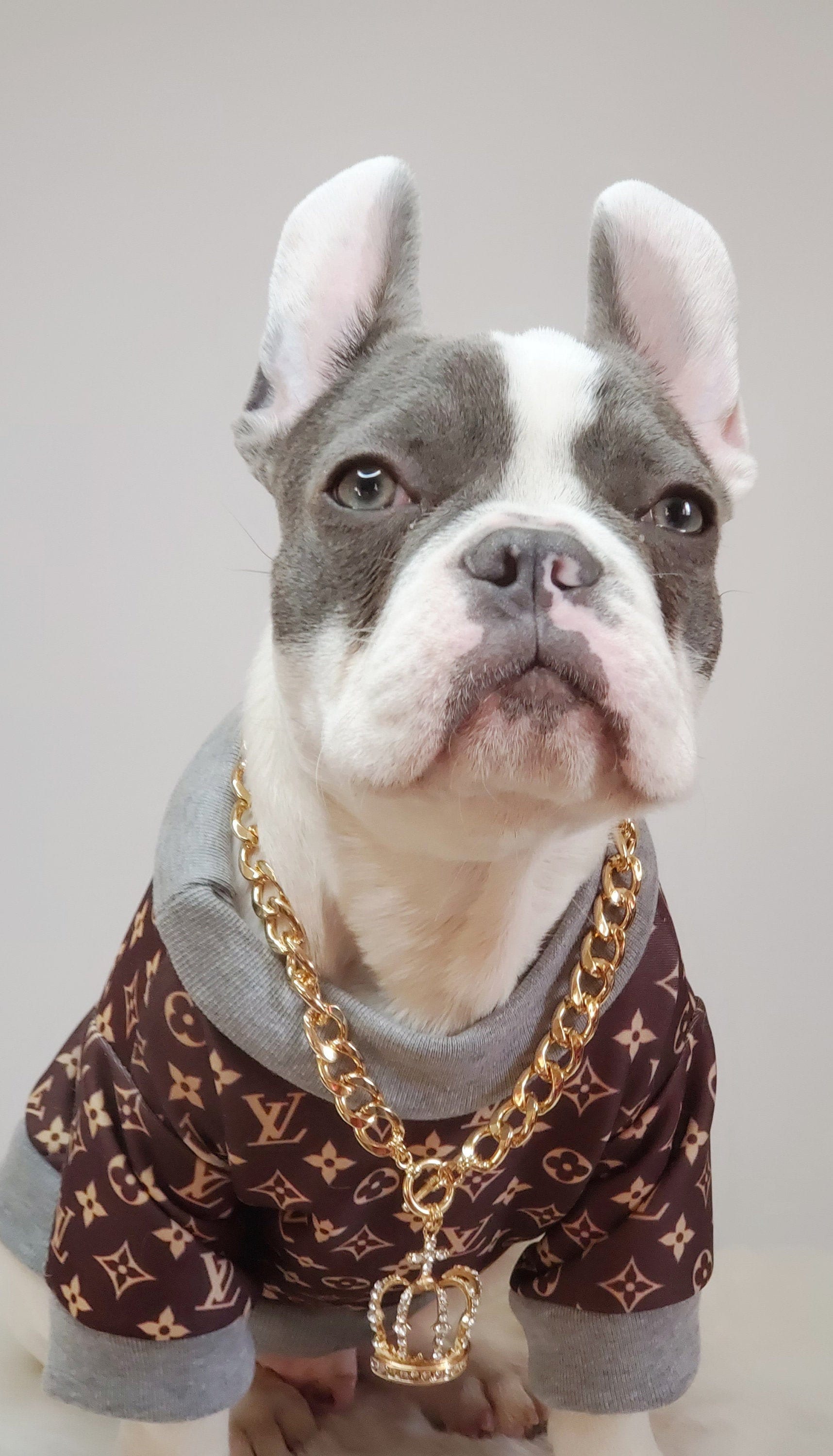  Gold Chain Dog Collar-15mm Cute Dog Collar Pet Gold Necklace  Bulldog Light Metal Puppy Jewelry 20 Chain Puppy Costume : Pet Supplies