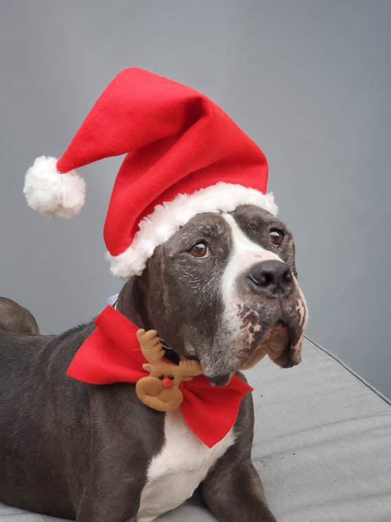 Where can i buy a santa hat online