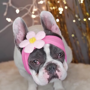 Dog Headband with Flower, Elegant Pet Accessory