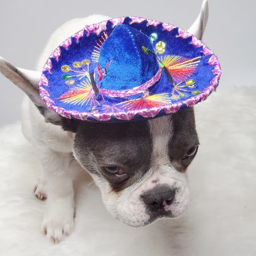 Walley World Hat Costume Accessory Sombreros 