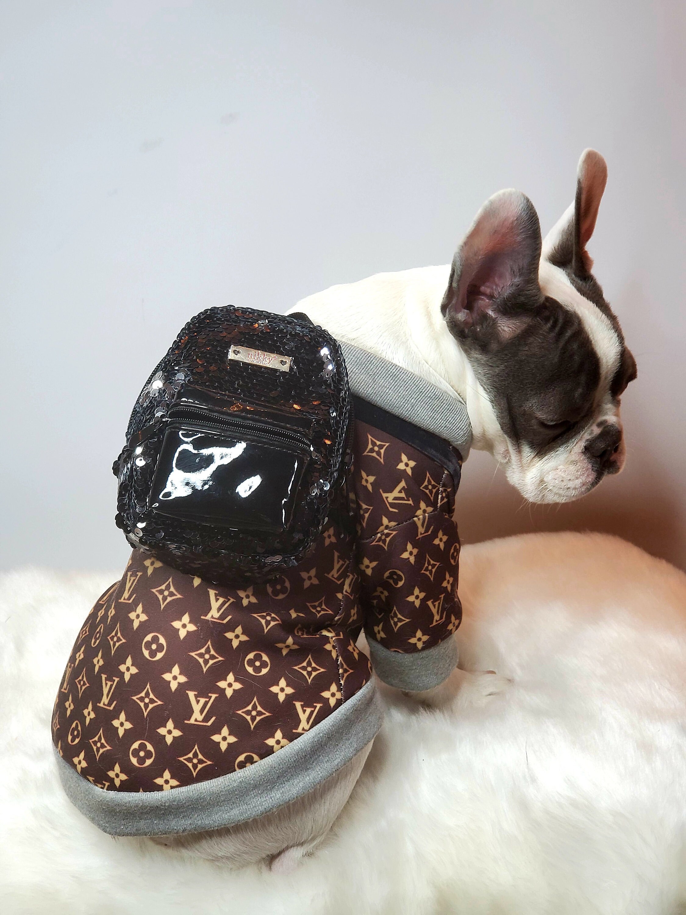 Dog Accessories / Cats Backpack / Puppy 