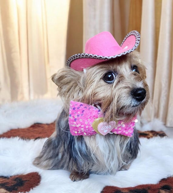 Cowboyhut-Kostüm Für Kleine Hunde – Mit Bandana, Western-Outfit Für Halloween & Partys