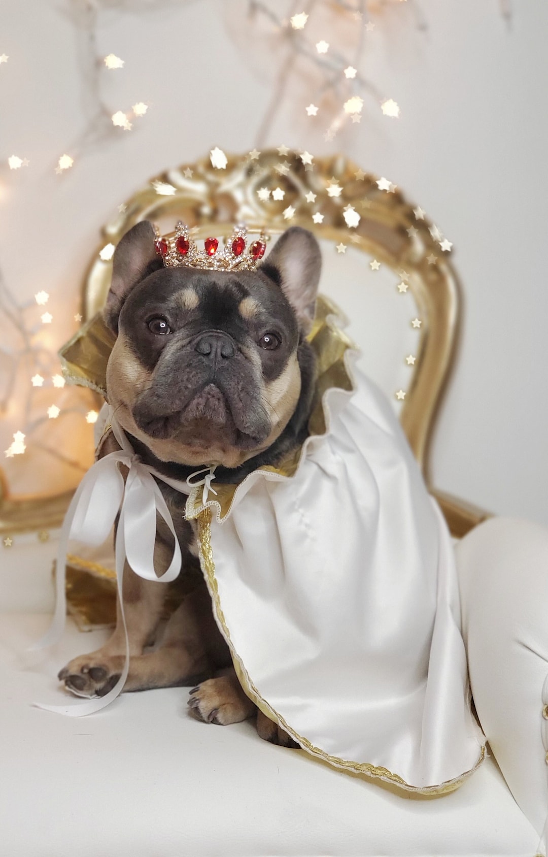 Gold Color Crown for Dog or Cat /princess Dog Crown / Crown for Dog ...