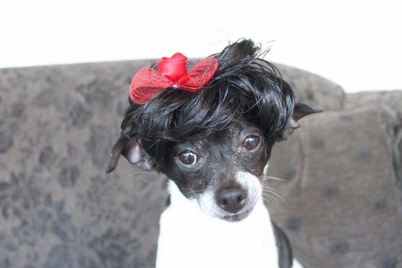 Black color pet wig with red color bow