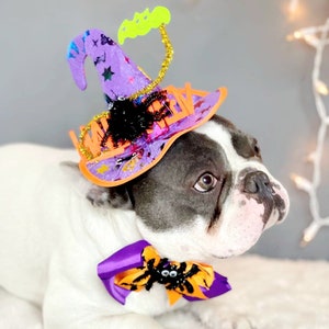 Witch hat for dog/ Black color Halloween hat with bow tie/Dog costume/Halloween costume/Cat Halloween costume/Dog costume image 3