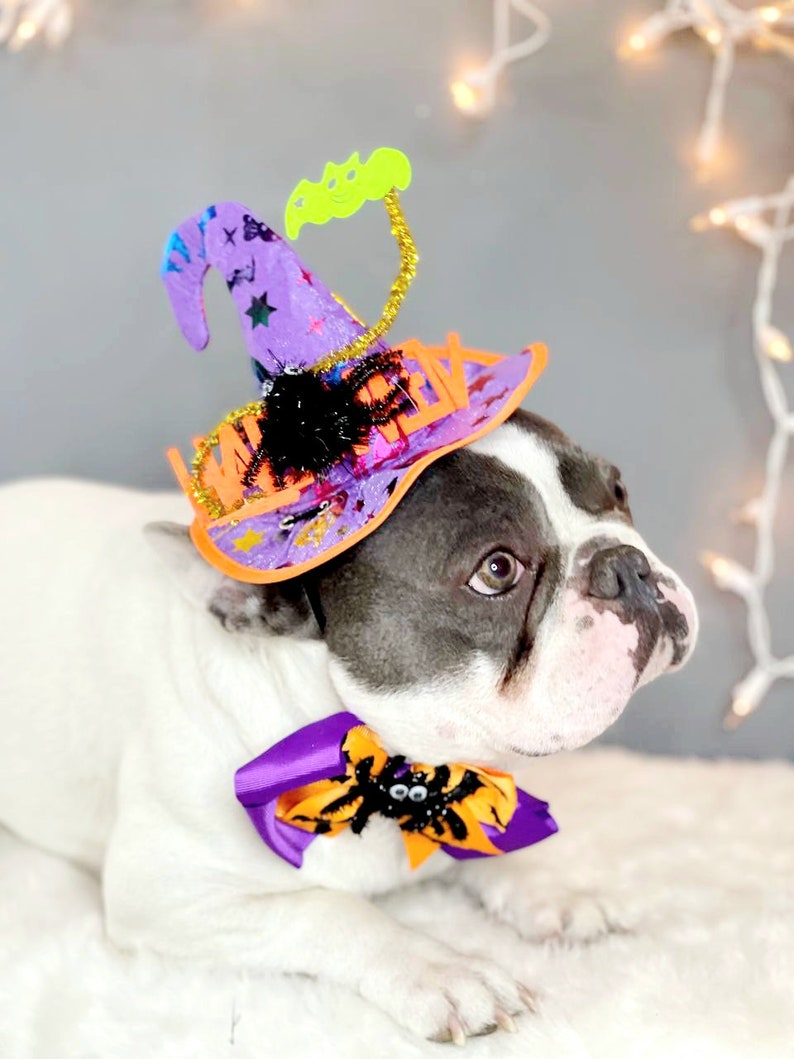 Witch hat for dog/ Black color Halloween hat with bow tie/Dog costume/Halloween costume/Cat Halloween costume/Dog costume image 3