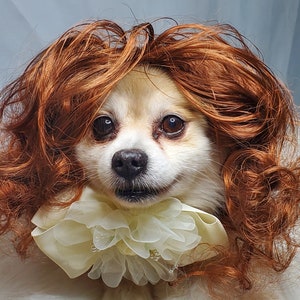 Cute pet   wig  for dog or cat