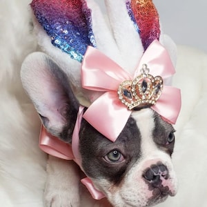Easter Bunny hat   for dog or cat / Dog costume/Pet Halloween costume/