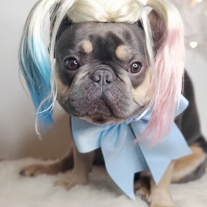 Harley quinn dog wig with Pony tails /Cute pet wig for dog or cat / Halloween pet wig / Costume dog wig /Dog costume / image 7