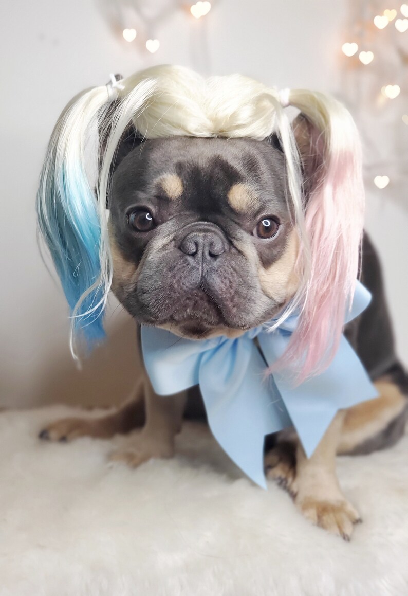 Harley quinn dog wig with Pony tails /Cute pet wig for dog or cat / Halloween pet wig / Costume dog wig /Dog costume / image 7