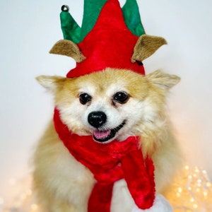 Elf Dog Hat /Elf Cat Hat / Elf Hat Costume for Pets /Dog Top Hat /Christmas Hat Costume image 5