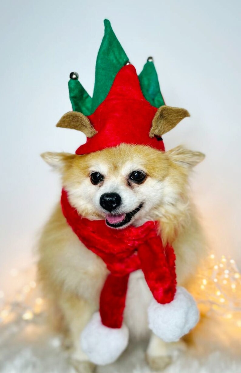 Elf Dog Hat /Elf Cat Hat / Elf Hat Costume for Pets /Dog Top Hat /Christmas Hat Costume image 5