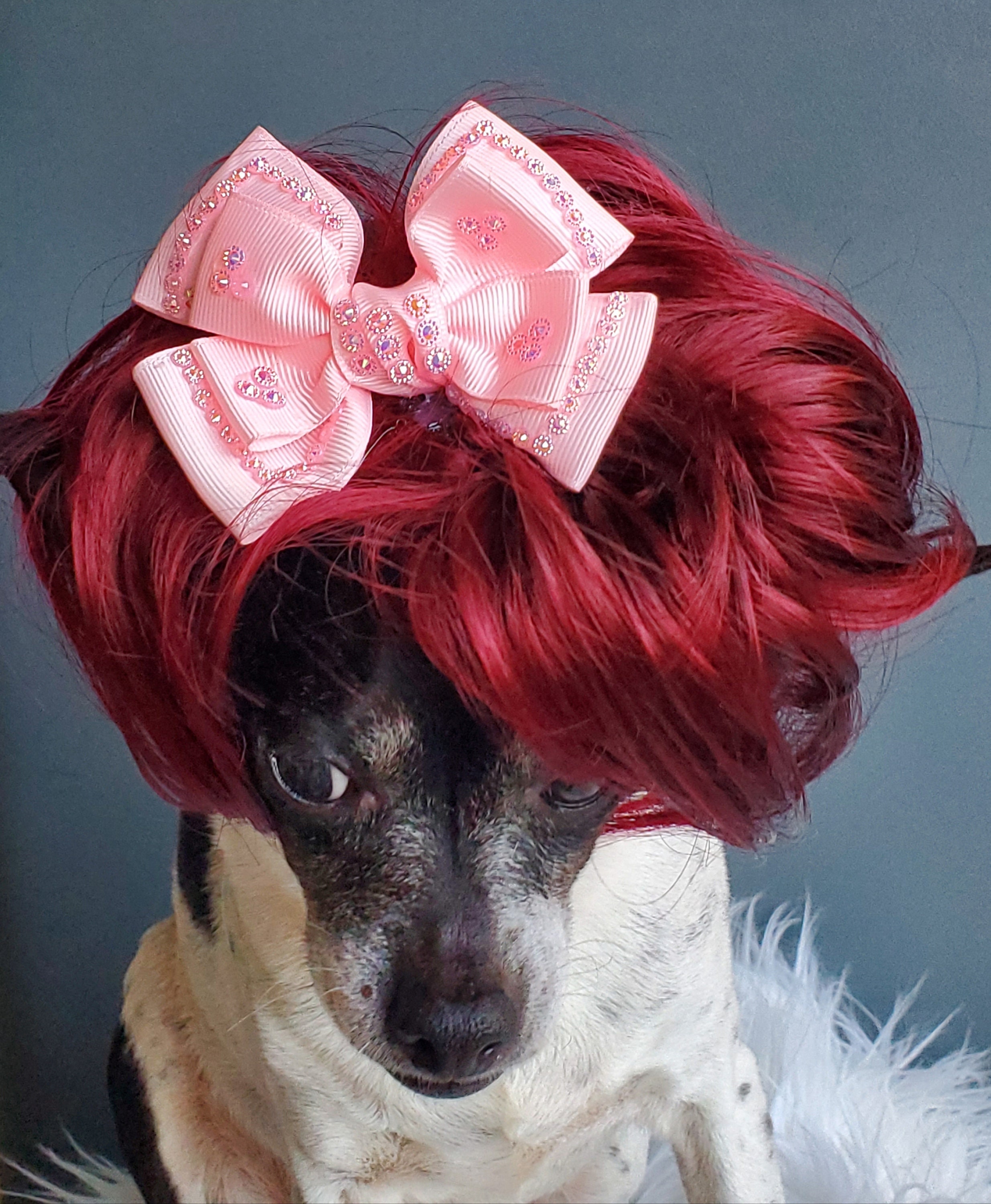 Haustier Perücke mit rosa Farbe Bogen für Hund oder Katze / Etsy