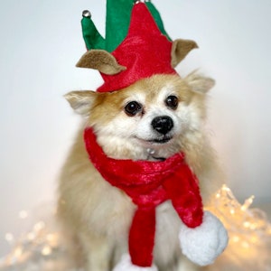 Elf Dog Hat /Elf Cat Hat / Elf Hat Costume for Pets /Dog Top Hat /Christmas Hat Costume image 2