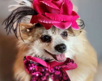 Elegant hat with   feather and   flower for dog or cat /Hat for small pet /Costume for dogs/