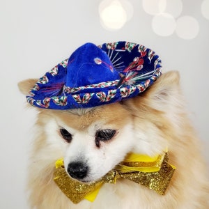 Set listing Cute sombrero hat  and  bow tie for dog or cat